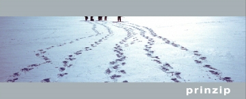 Logo Accommodare Change Management Beratung